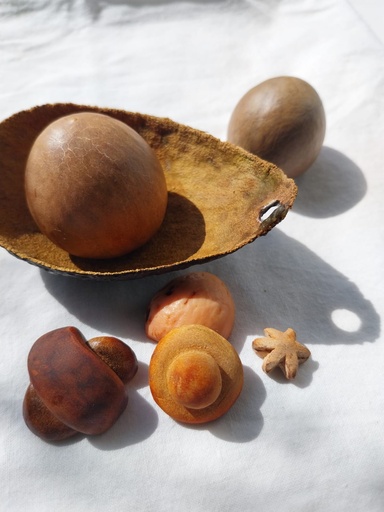 Whisper of the Seed / Avocado seed carving